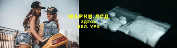 амф Аркадак