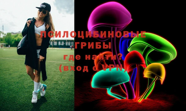 амф Аркадак